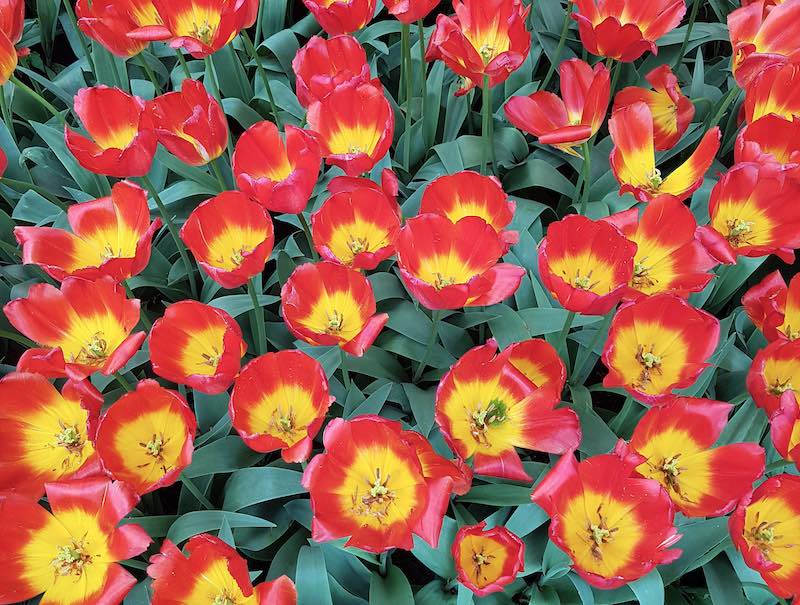 image 01 gallery esver.de