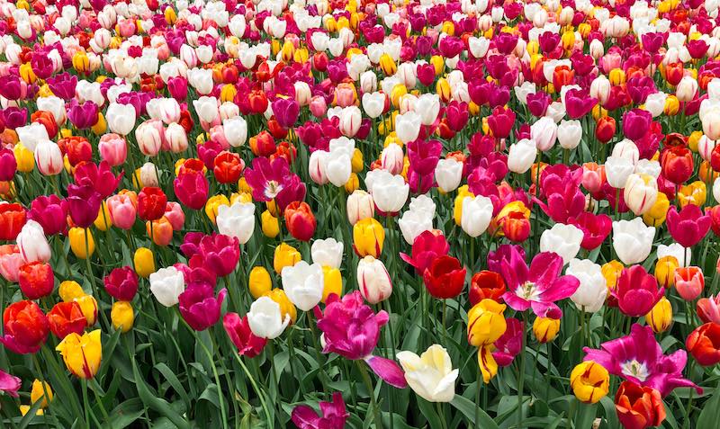 image 02 gallery esver.de