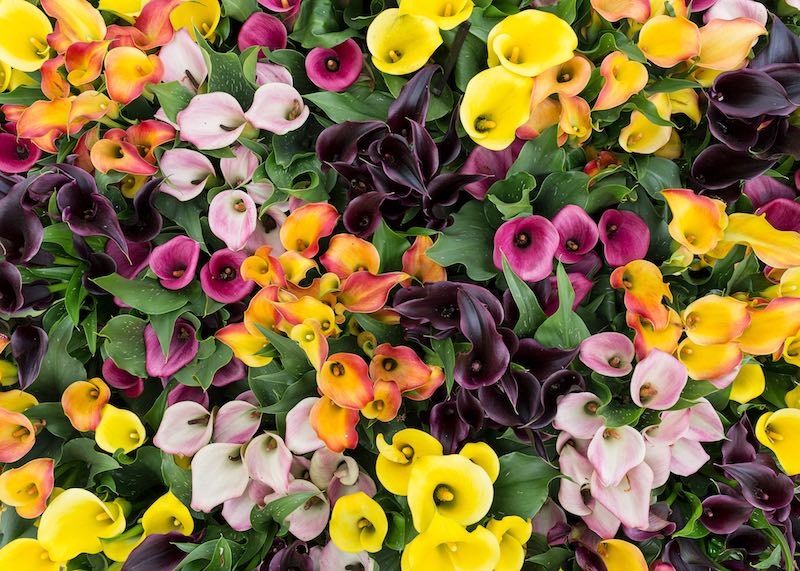 image 03 gallery esver.de