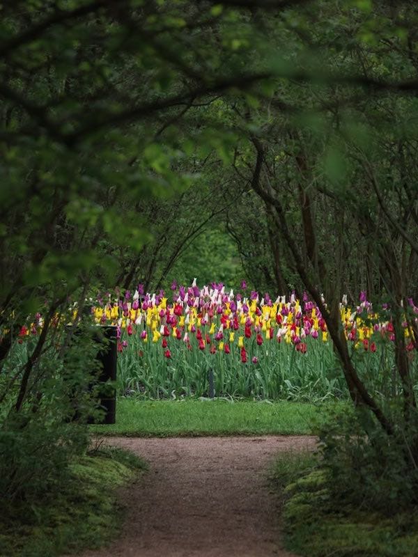 image 07 gallery esver.de