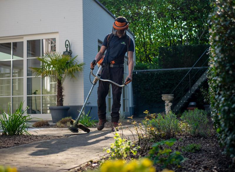 esver.de Gartentipps
