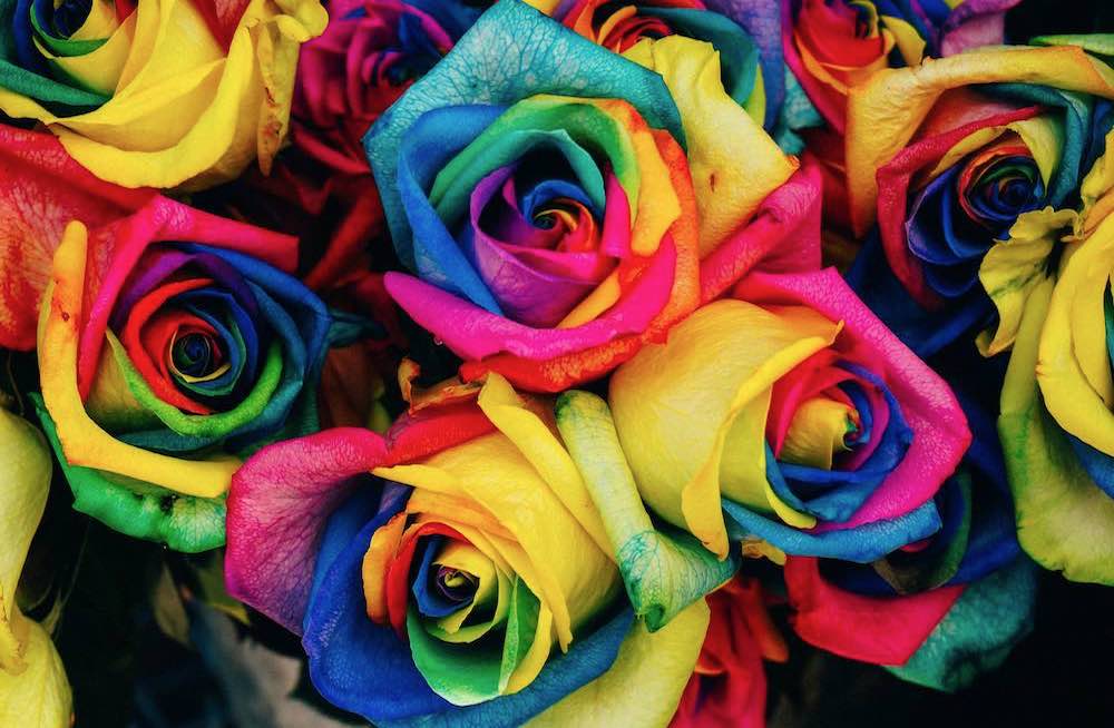  Pflanzen Hamburg esver.de